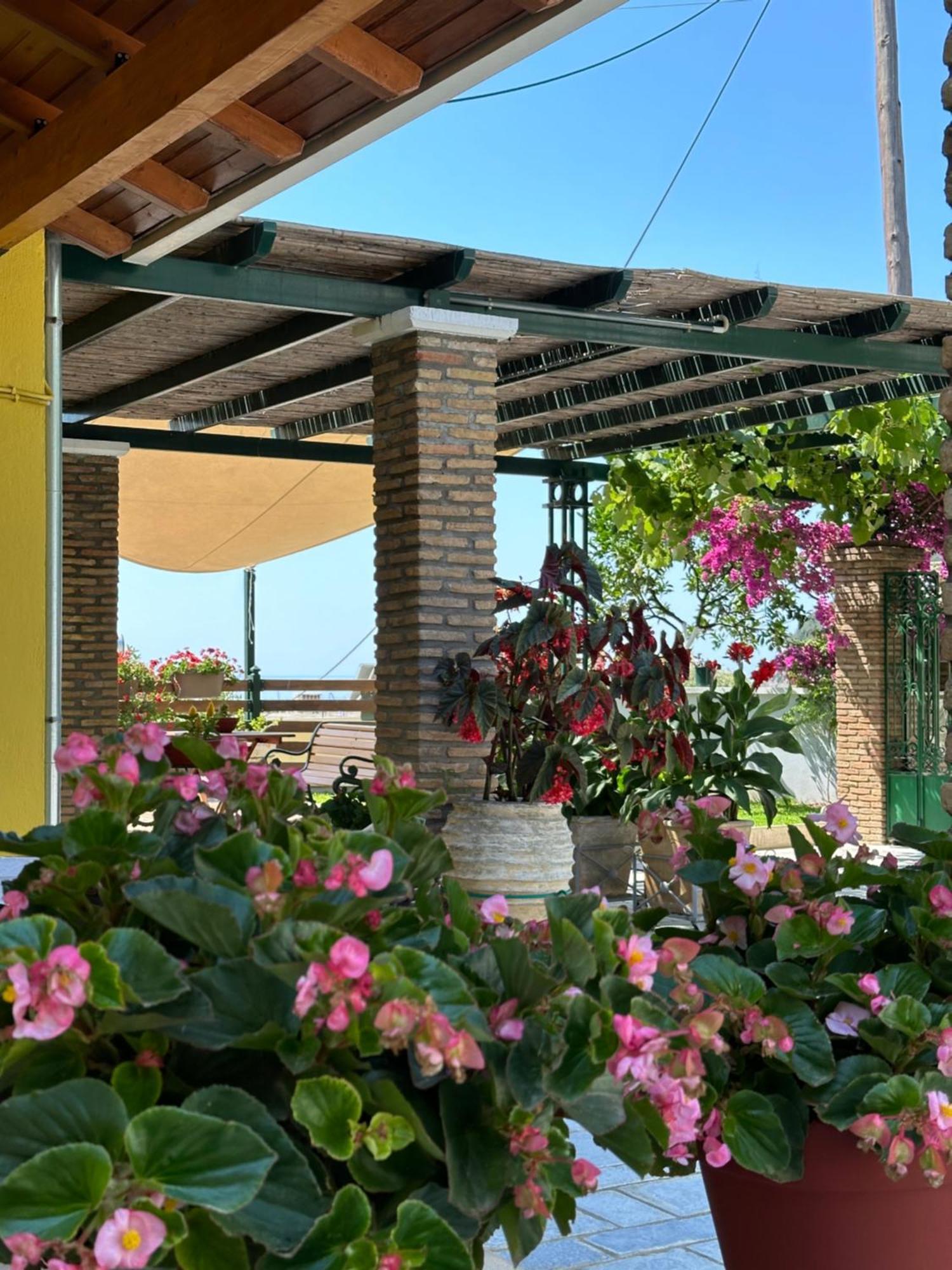 Villa Sofia 파르가 외부 사진